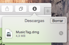 Launch the Music Tag installer from your browser