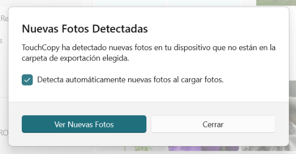 Mensaje de nuevas fotos detectadas