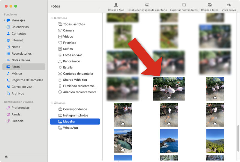 TouchCopy Fotos de iCloud