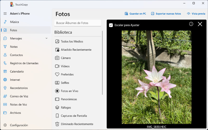 Previsualizar fotos completas del iPhone en PC